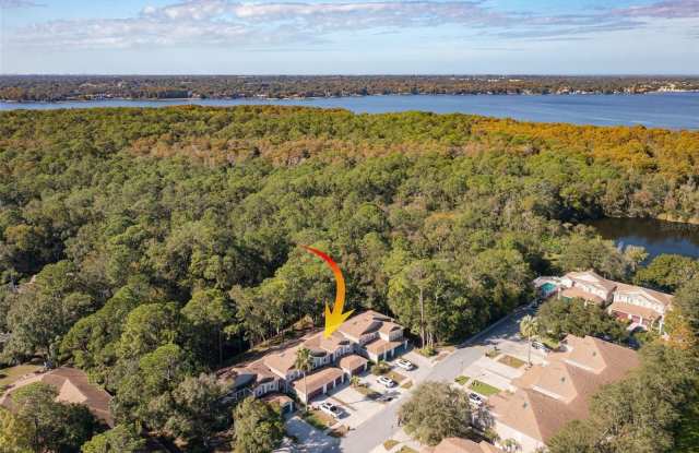 4348 BROOKER CREEK DRIVE Gallery 4