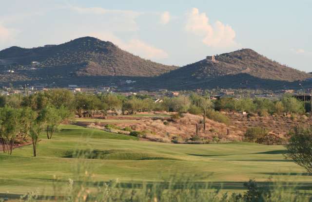 42127 N Celebration Way Gallery 2