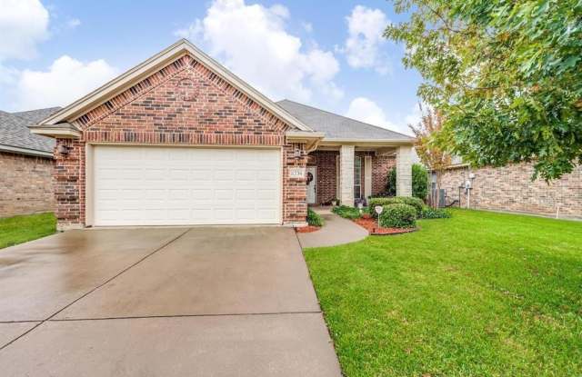 8234 Winter Falls Trail - 8234 Winter Falls Trail, Fort Worth, TX 76053