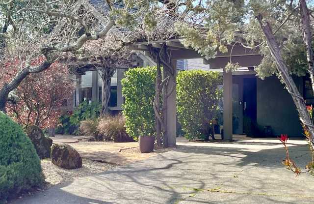 St. Helena Home on Cul-de-Sac with Creekside Setting and Vineyard Views photos photos