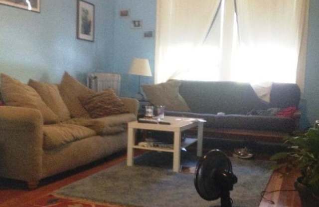Spacious Two bedroom in Brighton - September 1st - 130 Englewood Avenue, Boston, MA 02135