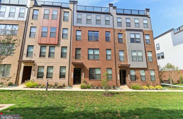 44501 WOLFHOUND Square photos photos 44501 WOLFHOUND Square photos photos