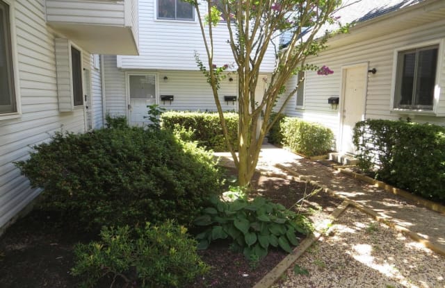 807 Locust St #5 - 807 Locust St, Herndon, VA 20170