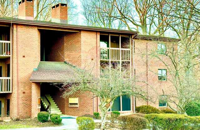 Turtle Creek Condo! photos photos