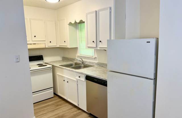 1 Bed/1 Bath for Rent Near Downtown Brandon! photos photos