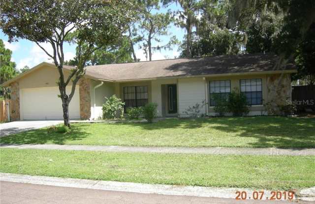 602 SANDY CREEK DRIVE - 602 Sandy Creek Drive, Bloomingdale, FL 33511