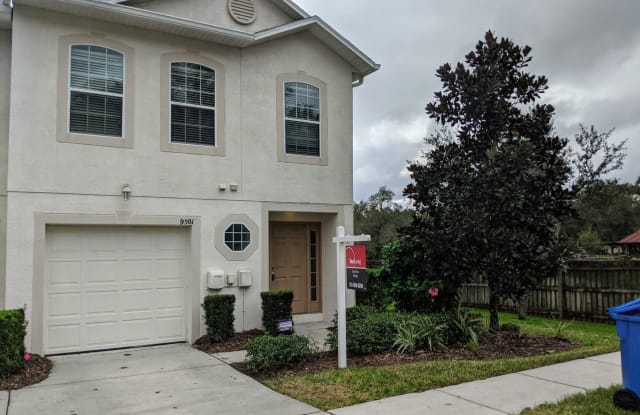 9501 Ashburn Creek Ln. - 9501 Ashburn Lake Drive, East Lake-Orient Park, FL 33610