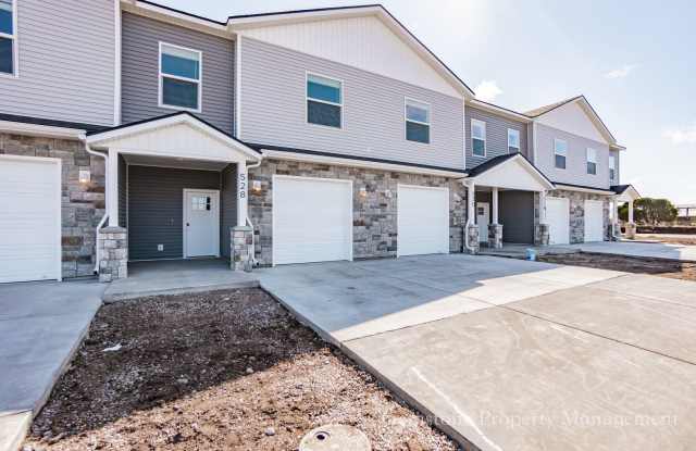 Modern 3 Bed 2.5 Bath Townhome located in Sugar City! Gallery 1