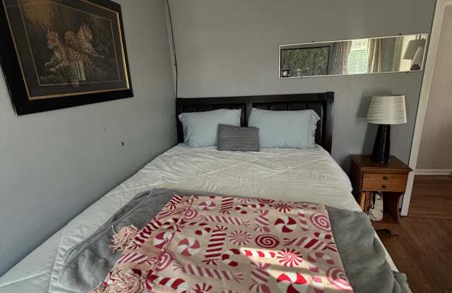 167 Ennell St photos photos