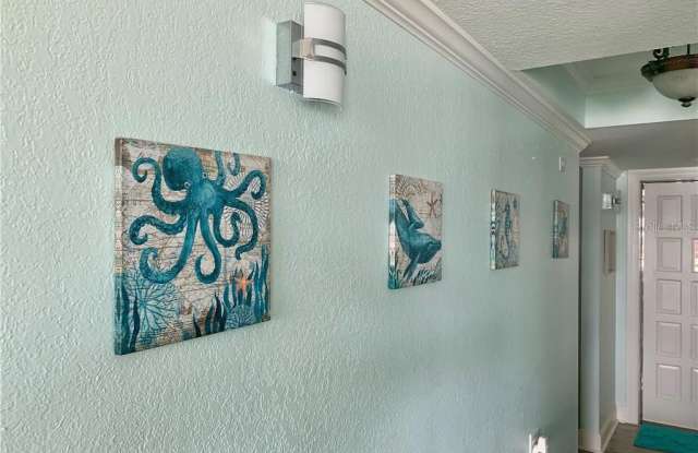 205 DOLPHIN POINT Gallery 4