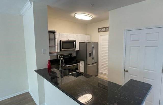 Renovated 1 Bedroom 1 Bathroom in the Heart of Downtown Celebration with Water Views Gallery 4