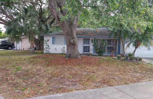 1843 TUMBLEWEED DRIVE - 1843 Tumbleweed Drive, Holiday, FL 34690