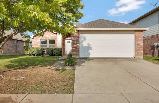 12833 Pricklybranch Drive - 12833 Pricklybranch Drive, Fort Worth, TX 76244