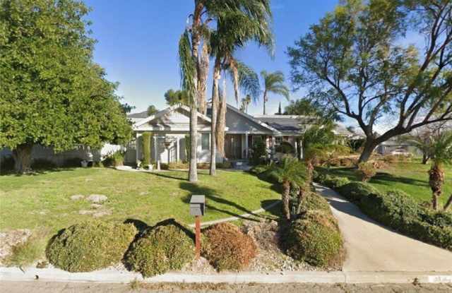 3835 Camellia photos photos