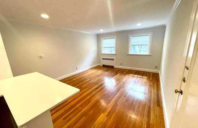2Bed / 1Bath in Newton - Next to MBTA Waban Train Stop - Luxury 2bed / 1bath with Modern Kitchen and Bath photos photos