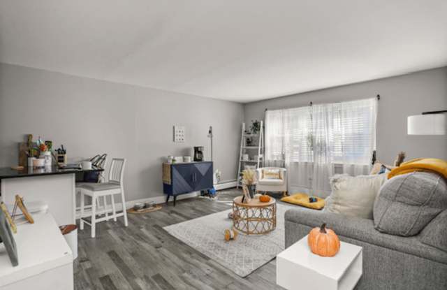Renovated and Spacious 1BR apartment in Avon Apartments! Gallery 4