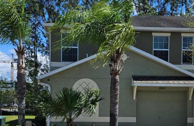 2802 BIRCHCREEK DRIVE - 2802 Birchcreek Drive, Wesley Chapel, FL 33544