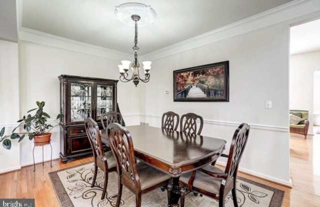 42999 MARBURG TERRACE Gallery 4