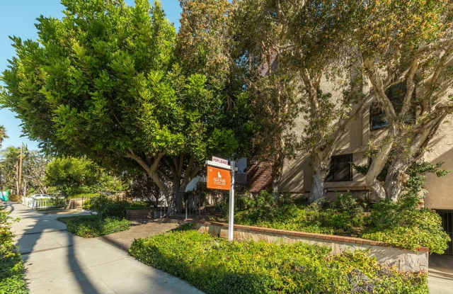 Prime Location 3 bedroom Townhome with Central A/C  Heat. Laundry in unit. Side-by-Side parking. photos photos