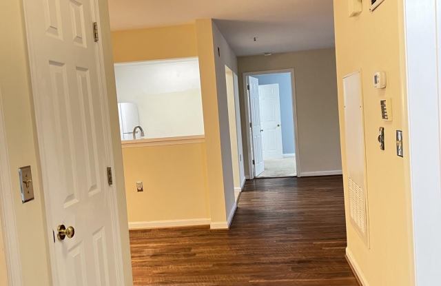 15309 DIAMOND COVE TERRACE Gallery 2