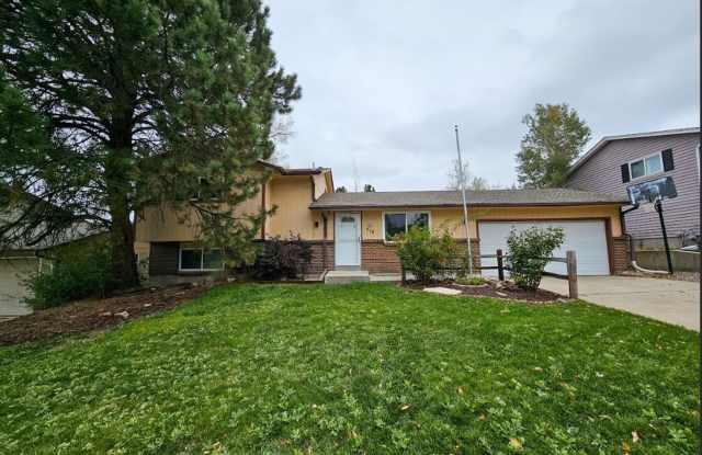 Long Realty  Property Management - 4 Bedroom Tri Level in Lone Tree - 518 Apollo Court, Acres Green, CO 80124