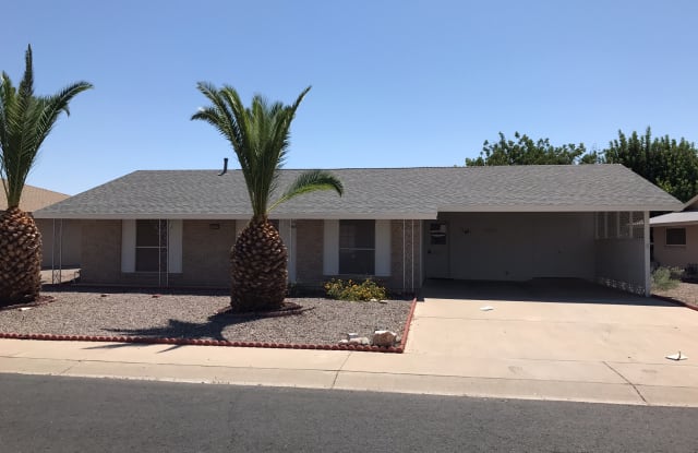 10809 W Camelot Cir - 10809 W Camelot Cir, Sun City, AZ 85351