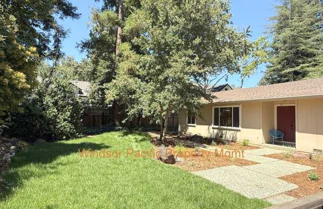 Remodeled one story home in highly desirable Alamo with huge park like yard ! Gallery 4