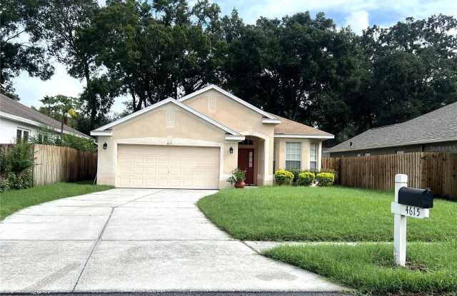4615 DUNNIE Drive Gallery 3