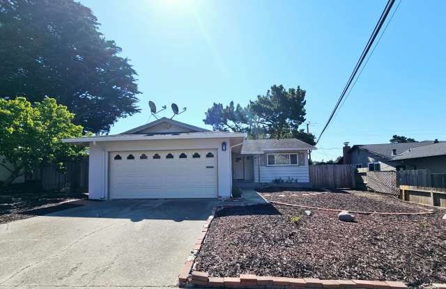 Remodeled 3-bed/2-bath Single Family Home in Rollingwood photos photos