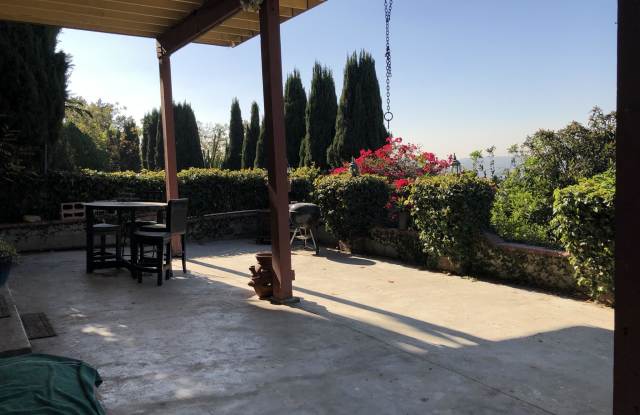 3741 Cazador St photos photos