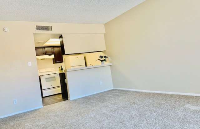Desert Springs Apartments Gallery 2