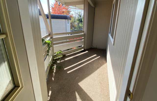 365 Madrona Ave. SE #C-3 Gallery 3