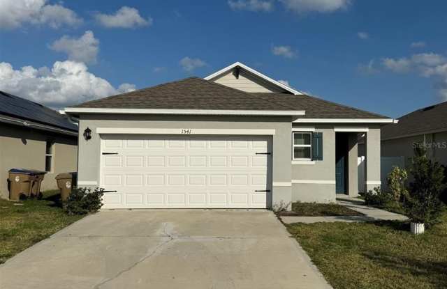 1541 Fernmeadow Street - 1541 Fernmeadow Street, Osceola County, FL 34744