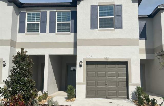 32127 POWDERPUFF MIMOSA DRIVE - 32127 Powderpuff Mimosa Drive, Pasco County, FL 33545