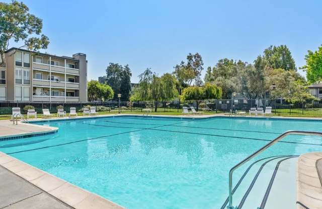 1081 Beach Park Blvd Apt 206 photos photos