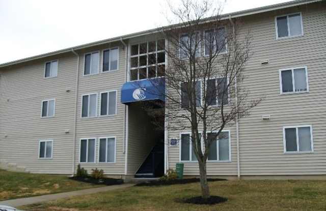 2 Bedroom 1 Bath Condo photos photos