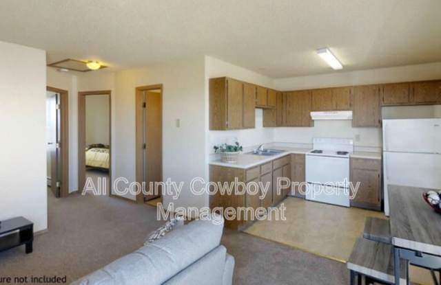 3314 Joanna Brunner St. - 3314 Joanna Brunner Street, Laramie, WY 82072