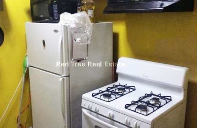 19 Burney St. - 19 Burney Street, Boston, MA 02120