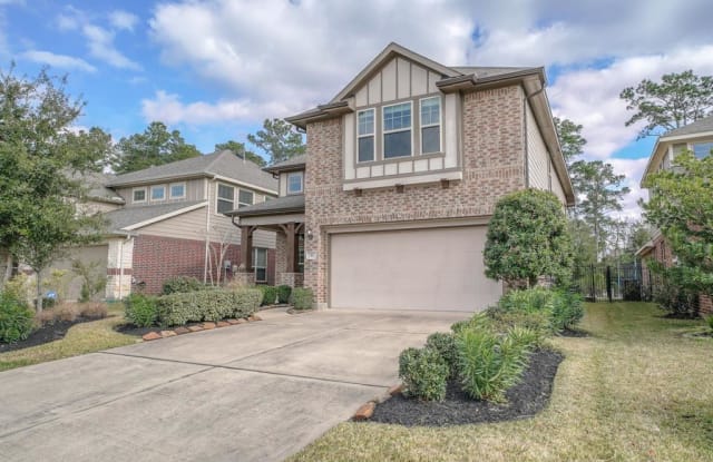 6 Wood Drake Place - 6 Wood Drake Place, The Woodlands, TX 77375