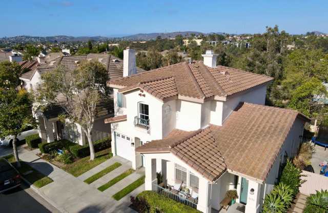 Spectacular Home in the Heart of Encinitas photos photos