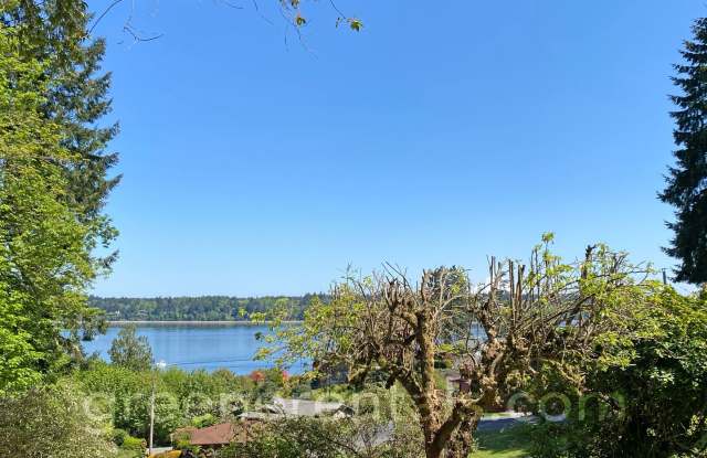 Cooper Point Daylight Basement ADU with Water Views Gallery 3