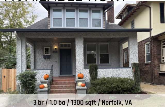 609 Baldwin Avenue -  Unit 2 - 609 Baldwin Avenue, Norfolk, VA 23517