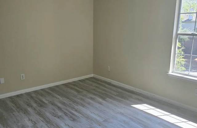 Room in 4 Bedroom Home in Pflugerville Gallery 4