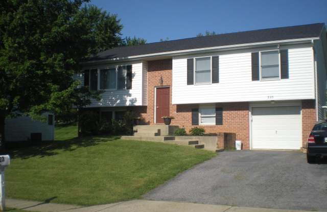 823 SNOWFALL Way photos photos