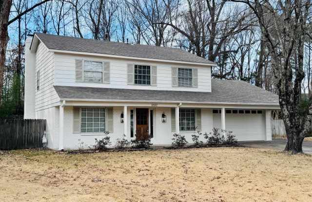 2557 MIMOSA TREE photos photos