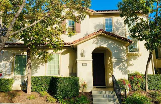 372 Cardinal photos photos