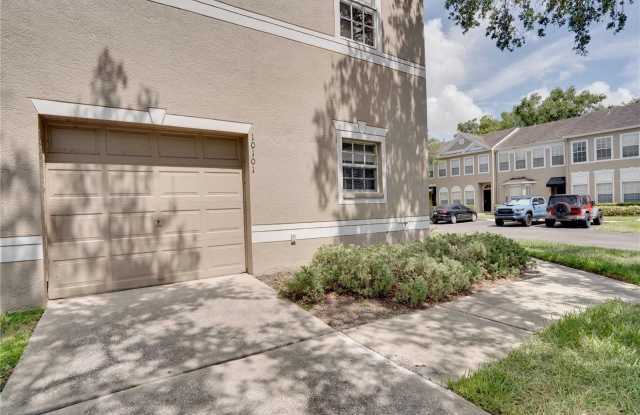 10101 BELLEVILLE PLACE - 10101 Belleville Place, Carrollwood, FL 33624