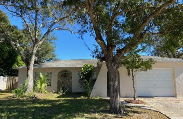 6429 LANGSTON AVENUE - 6429 Langston Avenue, Pasco County, FL 34653