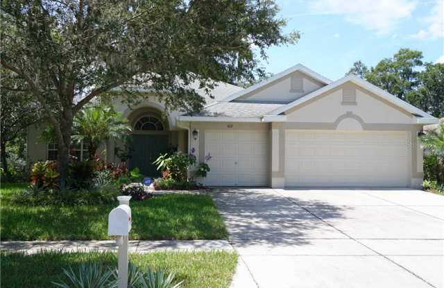1612 BRILLIANT CUT WAY - 1612 Brilliant Cut Way, Valrico, FL 33594