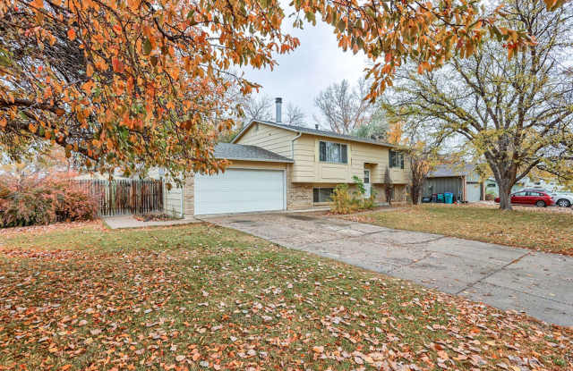 Beautiful 4 Bedroom Split-Level Home – Large Lot in West Fort Collins photos photos Beautiful 4 Bedroom Split-Level Home – Large Lot in West Fort Collins photos photos